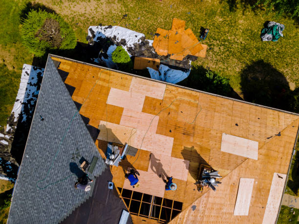 Best Storm Damage Roof Repair  in Perry, KS