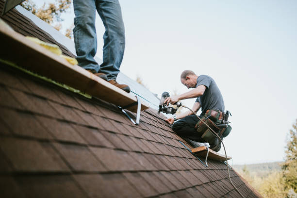 Best Roof Gutter Cleaning  in Perry, KS